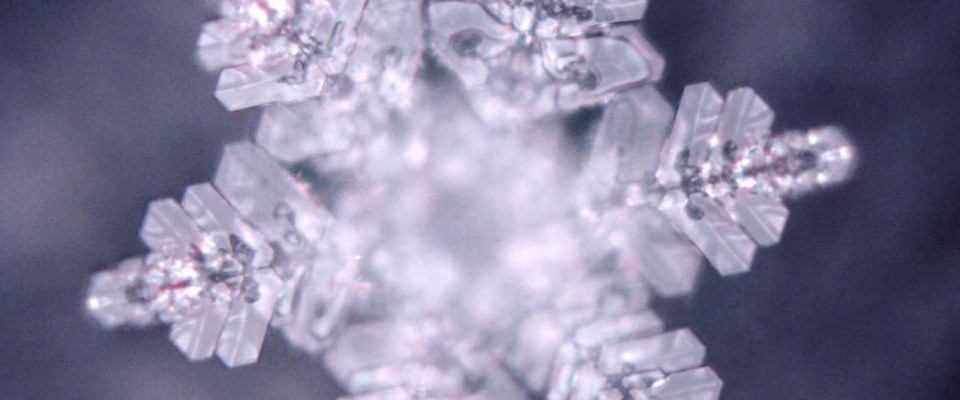 Maylin works with Masaru Emoto in Hilo